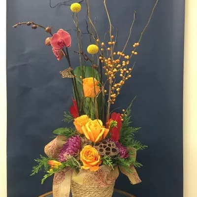 Peace and Joy with Orchid plant - Fresh Flowers Bellevue