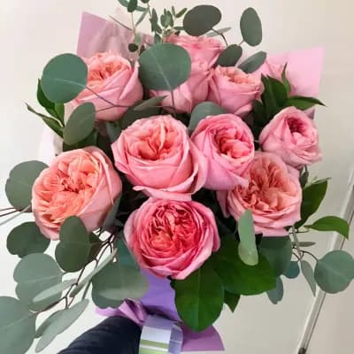 Nectarine - Fresh Flowers Bellevue