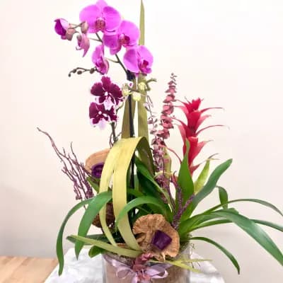 Surprise garden - Fresh Flowers Bellevue