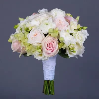 Gentle Ranunculus - Fresh Flowers Bellevue