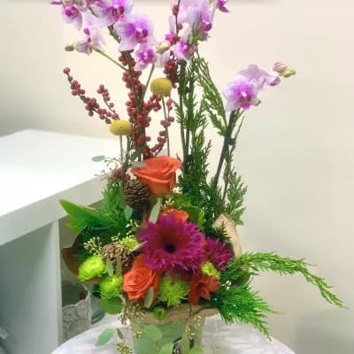 Vivid Graceful Symphony Orchid Plant Mixed - Fresh Flowers Bellevue