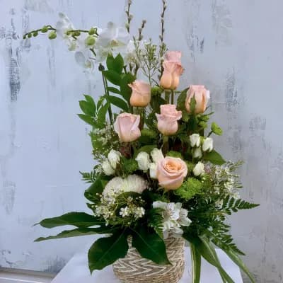 Blush decade with orchid plant - Fresh Flowers Bellevue
