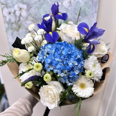 Sapphire - Fresh Flowers Bellevue